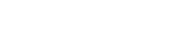 VPN Logo